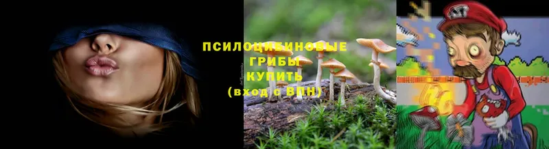 Галлюциногенные грибы Psilocybe  купить наркоту  Инза 